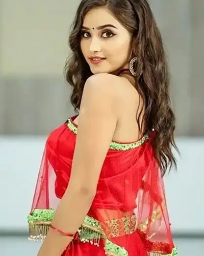 Call Girls Service Amadalavalasa